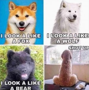 FB_IMG_1743647328291.jpg
