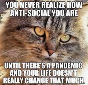 FB_IMG_1743646803406.jpg