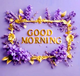 4f5460f443871feeb045dcdb5dc66879~2.jpg