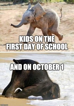 e4.jpg