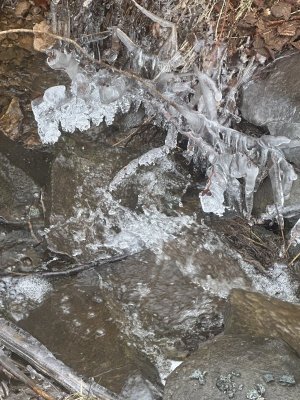 IMG_8176.jpeg