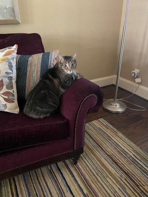 Andy on Couch.jpg