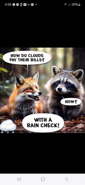 FB_IMG_1743695194375.jpg