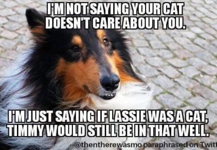 FB_IMG_1743562303833.jpg