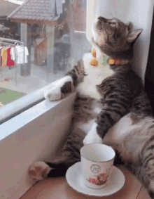 morning coffee.gif