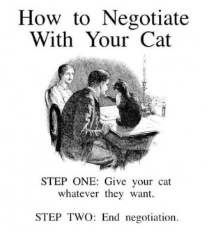 e4bd3172472521ec5eb05f72f8c8b0ea.jpg