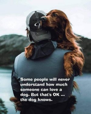 dogs know.jpg