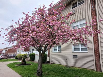 Resized_20220425_141404.jpg Resized_20220425_141404.jpg