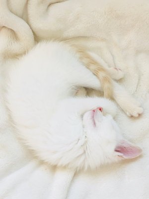 IMG_0798.jpeg