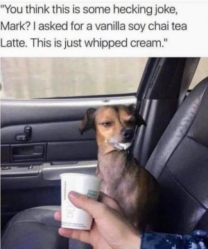 0-0-dont-do-it-mark-coffee-memes~2.jpg