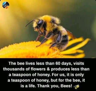 FB_IMG_1743920415862.jpg