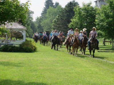 little_valley_Horsepark.jpg