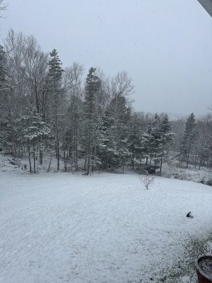 IMG_8217.jpeg