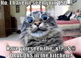 IMG_8221.jpeg