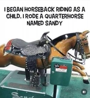 Sandy.jpg