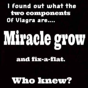 FB_IMG_1743827546173.jpg