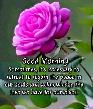 FB_IMG_1743919895868.jpg