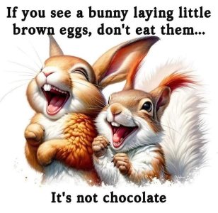 bunnychoc.jpg