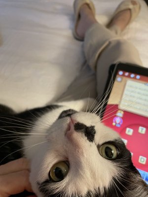 IMG_1829.jpeg IMG_1829.jpeg