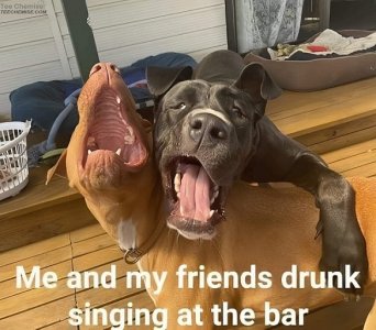 singing.jpg