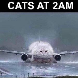 5323d38f4137d0e101d146d5d1dca679.jpg