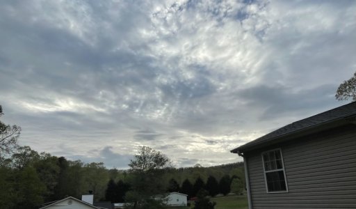 IMG_2008.jpeg