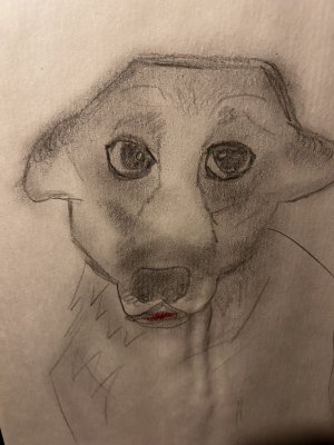 IMG_0894.jpeg