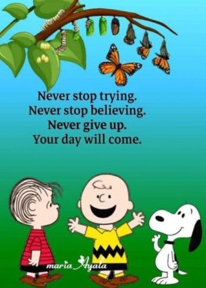 FB_IMG_1630130676833.jpg
