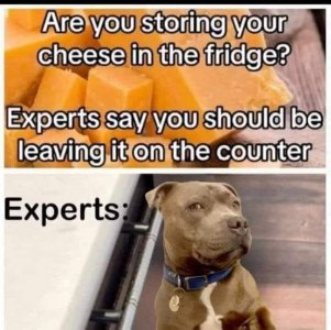FB_IMG_1744129021009.jpg