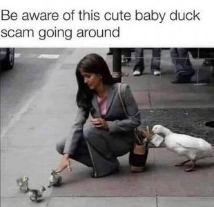 FB_IMG_1744128602327.jpg