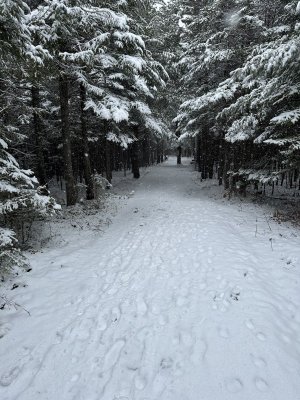 IMG_8249.jpeg