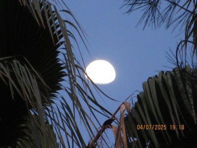 IMG_8728.JPG