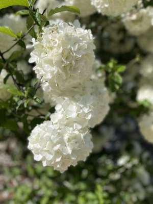 IMG_2023.jpeg