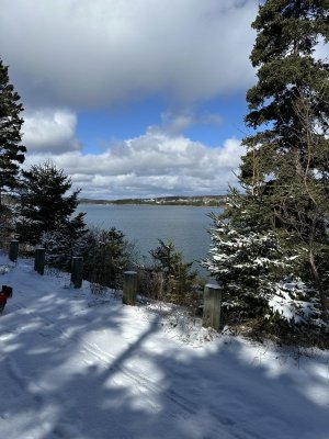 IMG_8259.jpeg