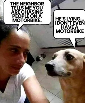FB_IMG_1744211030147.jpg