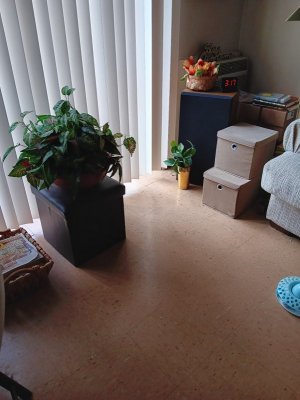 20250405_151638.jpg