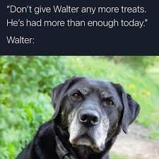 walter.jpg