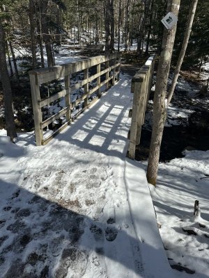 IMG_8290.jpeg