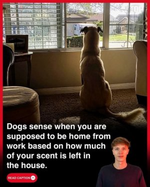 FB_IMG_1744297742418.jpg