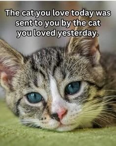 2845f5ad89114436d4ce978468170b37.jpg
