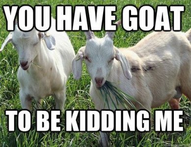 goat7.jpg