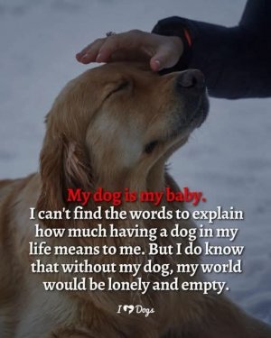 FB_IMG_1744330000360.jpg
