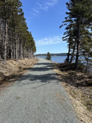 IMG_8310.jpeg