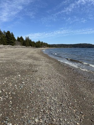 IMG_8316.jpeg