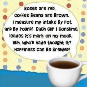 IMG_1117.jpeg