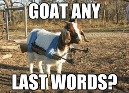 goat11.jpg