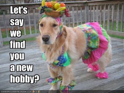 Dog Dolly.jpg