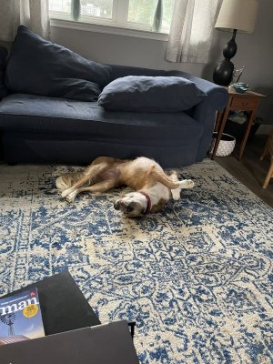 IMG_0902 (1).jpeg