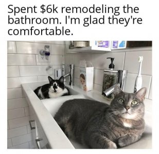 IMG_2035.jpeg