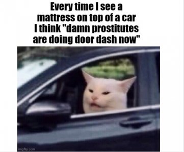 FBB! Large.jpeg